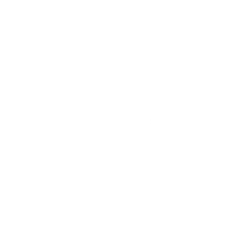 Mesosculpt